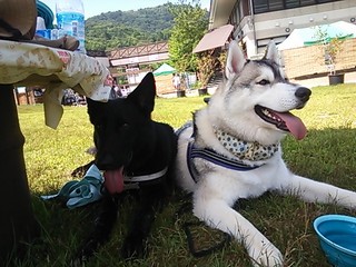茶臼山にて