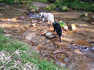 2013-08-09 16.20.46.jpg