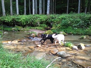 2013-08-09 16.20.53.jpg