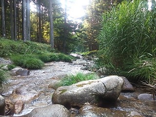 2013-08-09 16.34.30.jpg