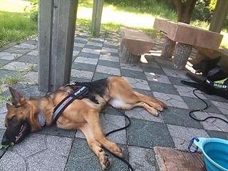2013-08-12 08.49.18.jpg