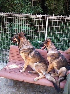 2013-09-20 10.54.24.jpg