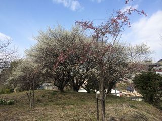 2014-03-07 11.17.55.jpg