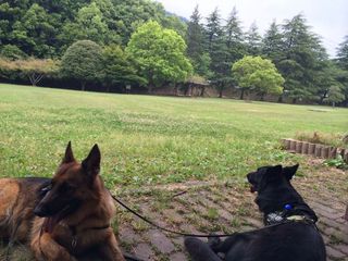 2014-06-04 10.32.42.jpg