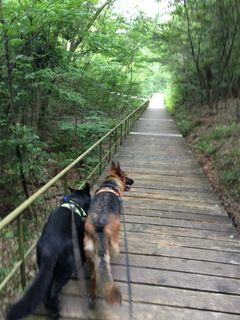 2014-06-04 12.49.56.jpg