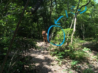 2014-06-14 10.05.18.jpg
