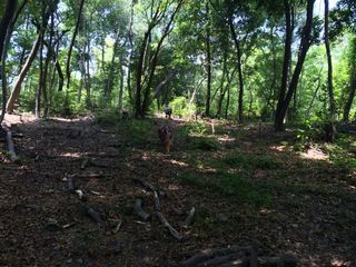 2014-06-14 10.05.49.jpg