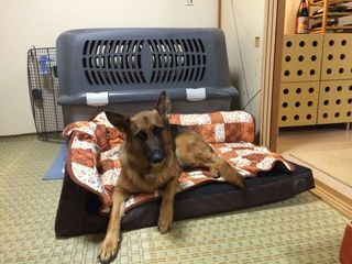 2015-01-07 17.12.54.jpg