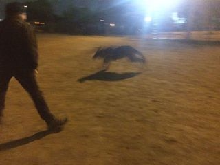 2015-02-21 22.43.44.jpg