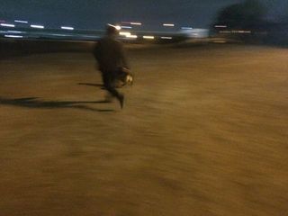 2015-02-21 22.43.45.jpg