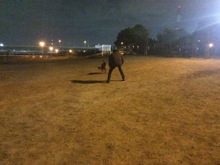 2015-02-21 22.44.09.jpg