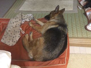 2015-02-23 16.51.07.jpg