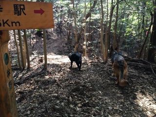 2015-03-31 14.43.28.jpg