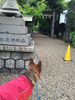 2015-05-04 09.58.54.jpg