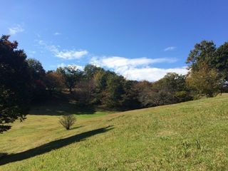 2015-11-10 12.14.34.jpg