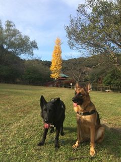 2015-11-12 14.05.46.jpg