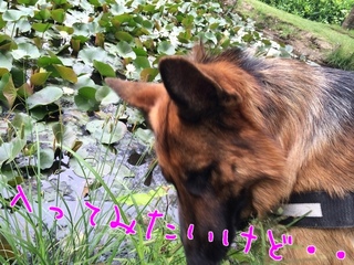 EPEDL8lNeVQKIl41402390758_1402390882.jpg