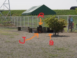 P4180037.jpg