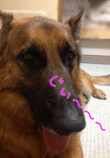 WKb7HZLv8uJgUhU1402327454_1402328089.png