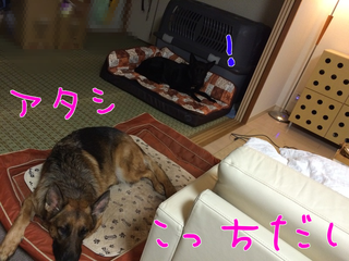 aFTSkRdLBoUdtYD1423038361_1423038581.png