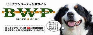 bwptopa.jpg